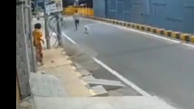 രാത്രി റോഡില്വച്ച് പീഡിപ്പിക്കാന് ശ്രമം, യുവതിയുടെ രക്ഷകരായി തെരുവുനായ്ക്കള്; അക്രമിയെ തുരത്തിയോടിച്ചു