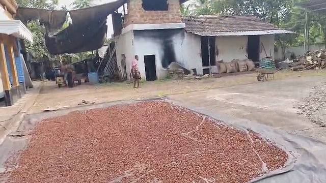 ചാലക്കുടിയുടെ വ്യാവസായിക ചരിത്രം വിസ്മൃതിയിലേക്ക്; പൂട്ടുവീഴാതെ ഇന്നും പുകയുന്നു നായരങ്ങാടിയിലെ 'അടയ്ക്കാ പന്തൽ'