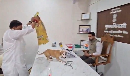 തെരുവുനായ്ക്കളെ കൊണ്ട് പൊറുതിമുട്ടി!; ഓഫിസറുടെ മേശമേല് ചാക്കില് കെട്ടിയ നായ്ക്കളെ തുറന്നുവിട്ട് പ്രതിഷേധം; വിഡിയോ