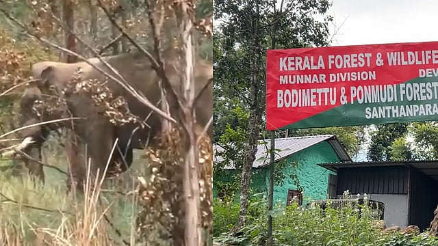 കാട്ടാനക്കലിയുടെ ഒടുവിലത്തെ ഇരയായി ശിവകുമാർ: രണ്ടര വർഷത്തിനിടെ ഇടുക്കിയിൽ പൊലിഞ്ഞത് 14 ജീവനുകൾ; നോക്കുകുത്തിയായി വനംവകുപ്പ്