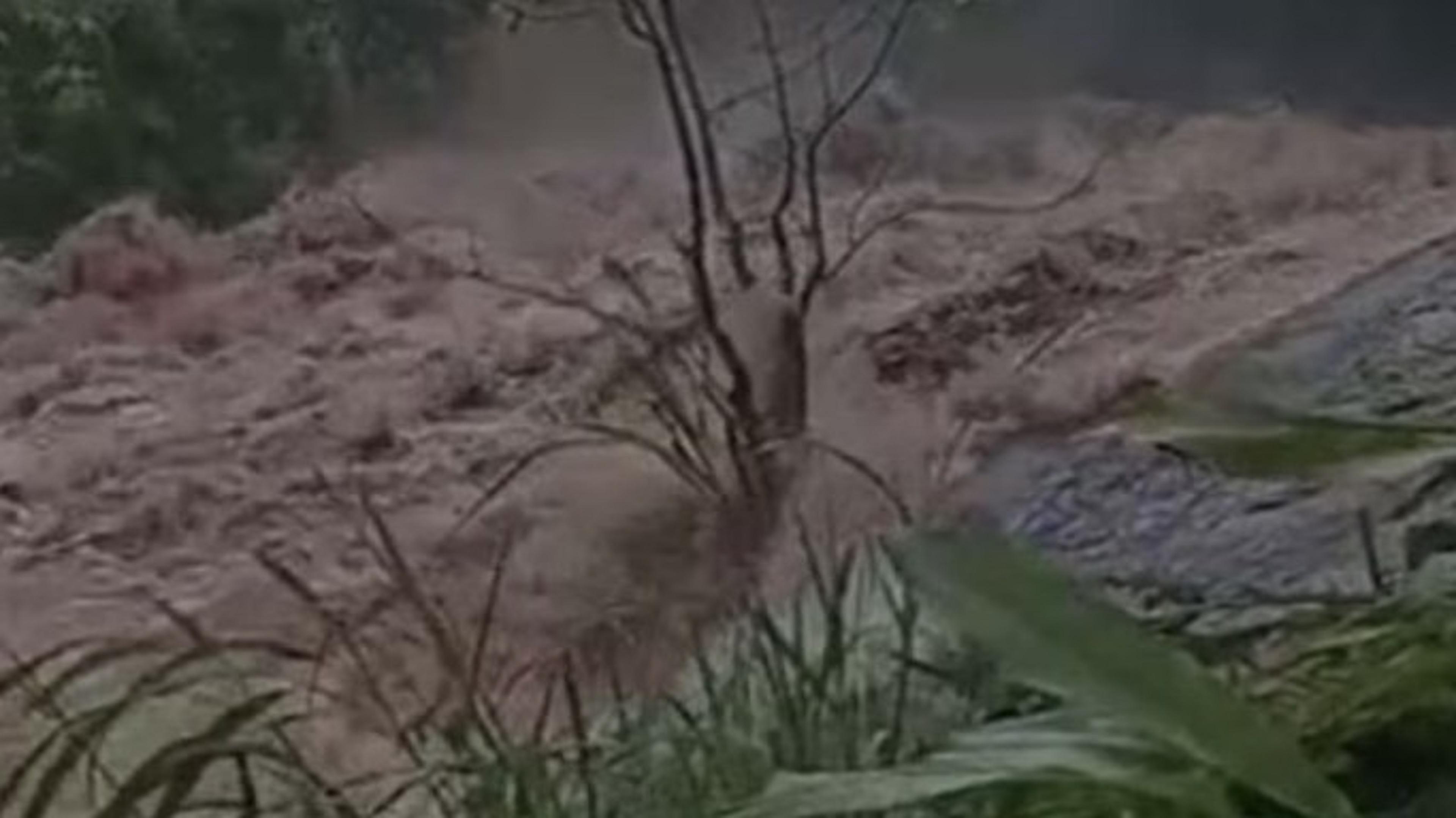 കോട്ടപ്പുഴ മലവെള്ളപ്പാച്ചിൽ: കാണാതായ യുവതിയുടെ മൃതദേഹം കണ്ടെത്തി; ദുരന്തത്തിൽ മരണം ആറായി