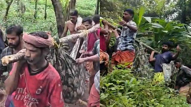 ശ്വാസംമുട്ടലിൽ വലഞ്ഞ് യുവാവ്: കാട്ടാനക്കൂട്ടത്തെ തുരത്തി കമ്പിൽ തുണി കെട്ടി ചുമന്നത് എട്ടുമണിക്കൂർ|VIDEO