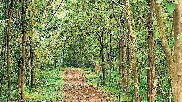 പരിസ്ഥിതി ലോല മേഖല: ഇടുക്കിയിലെ പഞ്ചായത്തുകളിൽ പ്രത്യേക ഗ്രാമസഭ; ജനവാസമേഖലകളെ ഒഴിവാക്കാൻ കേന്ദ്രത്തിനെതിരെ പ്രമേയം
