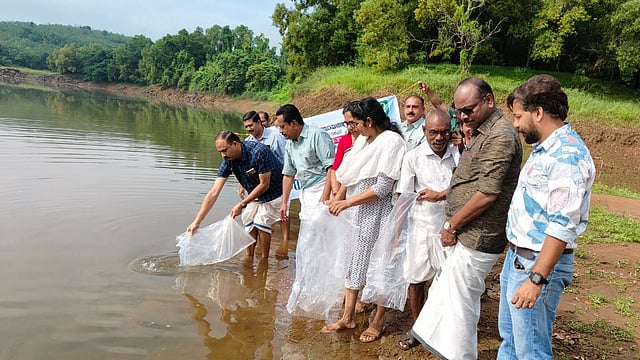 പൂവ്വം കടവിൽ ഒരു ലക്ഷം മത്സ്യക്കുഞ്ഞുങ്ങളെ നിക്ഷേപിച്ചു; 10 ലക്ഷം രൂപയുടെ മത്സ്യവിത്തുകൾ വിതരണം ചെയ്യും