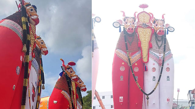 52 കരക്കാരുടെ കാത്തിരിപ്പ്, പടനിലത്ത് നൂറുകണക്കിന് നന്ദികേശരൂപങ്ങള്‍; ആവേശമായി ഓച്ചിറ കെട്ടുത്സവം ഇന്ന്, പ്രാദേശിക അവധി 