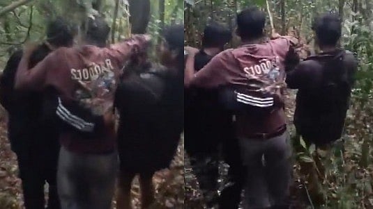 തേനീച്ച ആക്രമണം; കാട്ടിൽ അകപ്പെട്ട വിദ്യാർഥികളെ രക്ഷപ്പെടുത്തി, 12 പേർക്ക് പരിക്ക് - Video