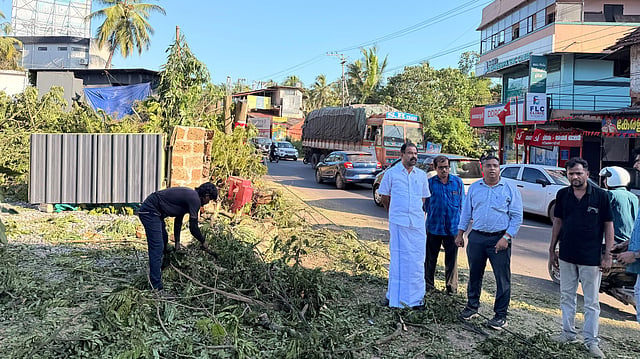 കൊടുംചൂടിൽ കുളിരേകിയ പച്ചപ്പ് ഓർമ്മയാകുന്നു; 
താഴെചൊവ്വയിലെ തണൽമരങ്ങൾ മുറിച്ചുതുടങ്ങി
