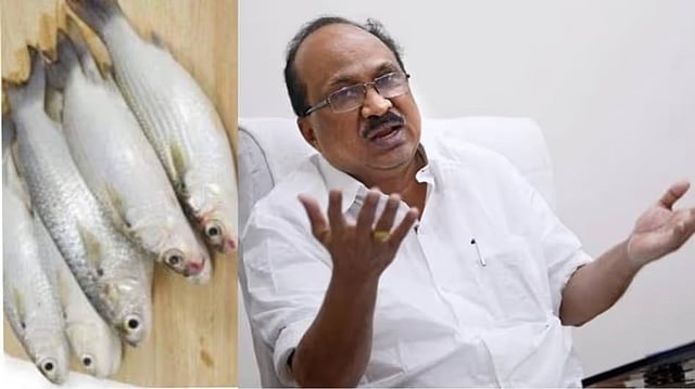 സോണിയ ഗാന്ധി തിരുത കണ്ടിട്ട് പോലും ഇല്ല, 'തിരുതത്തോമ' വിളി കാര്യമാക്കാറില്ല: കെവി തോമസ്
