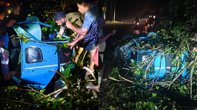 ഇടുക്കിയില് ഓട്ടോയ്ക്ക് മുകളിലേക്ക് മരം വീണു; ഡ്രൈവര് മരിച്ചു
