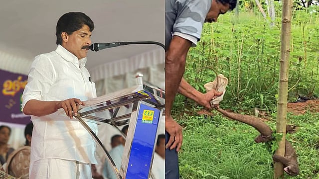 'ഉടുമ്പ് എത്തിയാല് സ്ഥിതി വഷളാകും'; മന്ത്രി എത്തുംമുന്പെ 'കസ്റ്റഡിയില്'