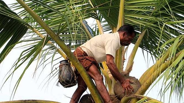 പ്രകാശൻ തെങ്ങിൻമുകളിൽ; കള്ളൊഴുക്കിക്കളഞ്ഞ് കന്നാസുമായി ആക്രിക്കാർ മുങ്ങി; ഒടുവിൽ സംഭവിച്ചത്...