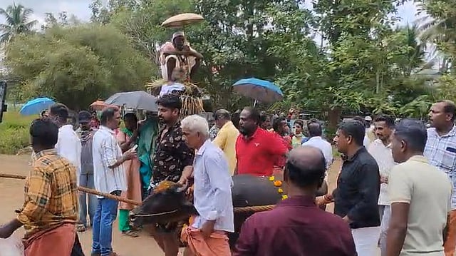 കാർഷികപ്പെരുമയുടെ നേർക്കാഴ്ചയായി കരുവന്നൂർ പോത്തോട്ടോണം|VIDEO