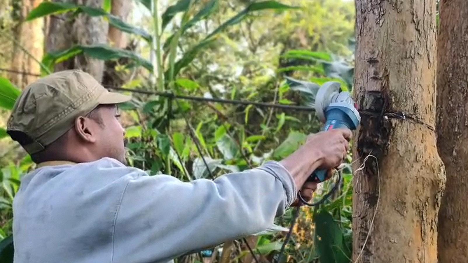 ഇടുക്കിയിലെ കാട്ടാന ശല്യത്തിന് ശാശ്വത പരിഹാരം; ആനത്താരകൾ പുനഃസ്ഥാപിക്കാൻ വനംവകുപ്പ്