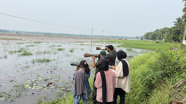 പക്ഷികളുടെ പറുദീസയായി മാറി ചെറുമുക്ക് ആമ്പൽ പാടം; സർവേയിൽ കണ്ടെത്തിയത് 78 ഇനം പക്ഷികളെ
