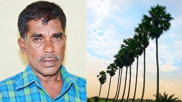 പനയിൽ കയറുന്നതിനിടെ ഹൃദയാഘാതം; ഫയർഫോഴ്സ് എത്തി, സാഹസിക രക്ഷാപ്രവർത്തനം, പക്ഷേ...