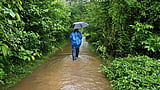 തുലാവര്‍ഷം ശക്തമാകുന്നു, 9 ജില്ലകളില്‍ യെല്ലോ അലര്‍ട്ട്; ഇടിമിന്നലിനും 50 കിലോമീറ്റര്‍ വേഗത്തില്‍ കാറ്റിനും സാധ്യത