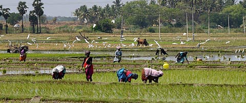 കര്‍ഷകര്‍ക്ക് ആശ്വാസം ; കാര്‍ഷിക വായ്പകളിലെ മോറട്ടോറിയം ഡിസംബര്‍ 31 വരെ തുടരും