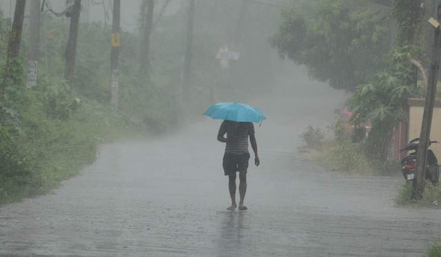 കനത്ത മഴ; ആലപ്പുഴയിലെ വിവിധ താലൂക്കുകളിലെ വിദ്യാഭ്യാസ സ്ഥാപനങ്ങൾക്ക് നാളെ അവധി