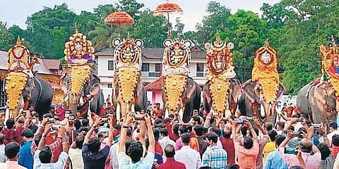 എഴുന്നള്ളിപ്പിന് ഒരാന മാത്രം, രണ്ടു തിടമ്പുകളുള്ള അമ്പലങ്ങളില് രണ്ടാവാം; തൃശൂരില് ഉത്സവങ്ങള്ക്ക് പുതിയ മാര്ഗനിര്ദേശം