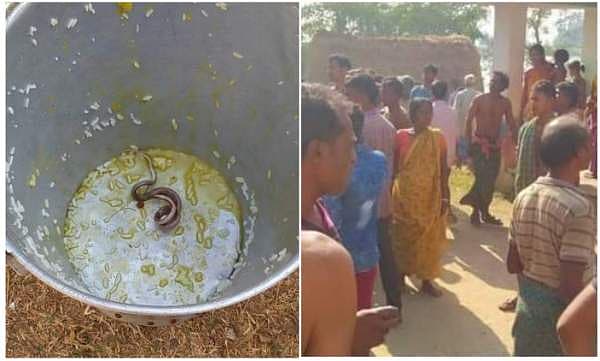 സ്കൂളിൽ നൽകിയ ഭക്ഷണത്തിൽ പാമ്പ്, ബംഗാളില്‍ 30 വിദ്യാർഥികൾ ആശുപത്രിയിൽ