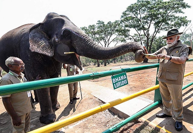 മുതുമല കടുവാ സങ്കേതത്തിൽ ഭാമ എന്ന പിടിയാനയ്ക്ക് കരിമ്പ് നൽകുന്ന പ്രധാനമന്ത്രി/ പിടിഐ