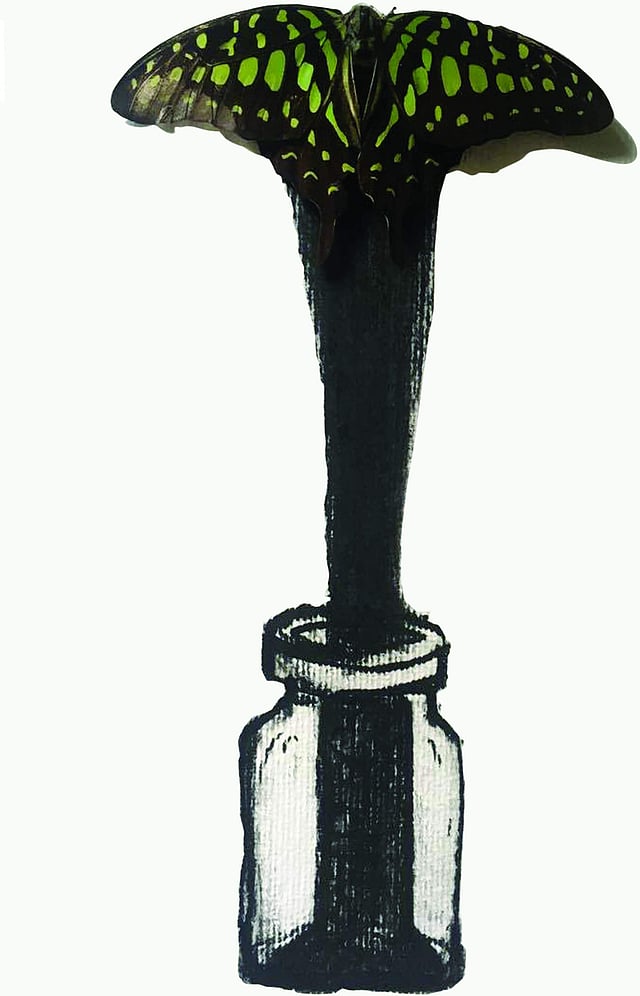 Story image