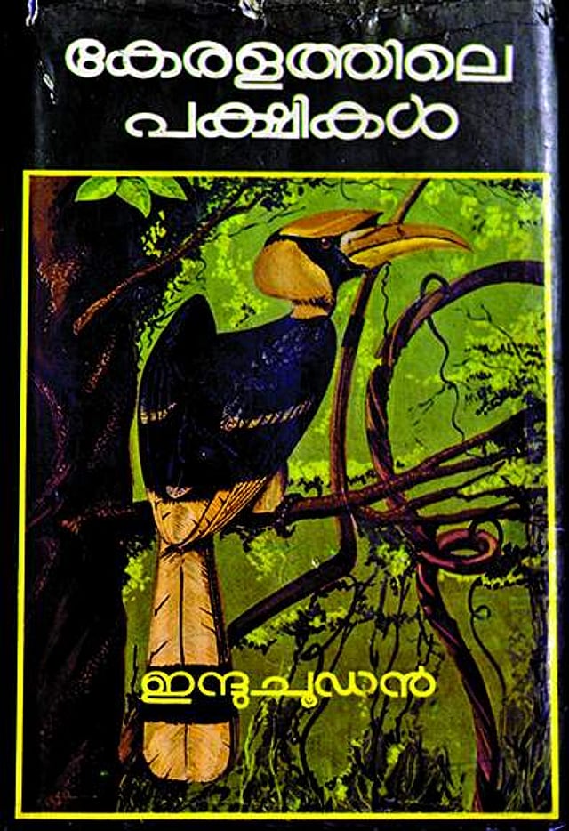 Story image