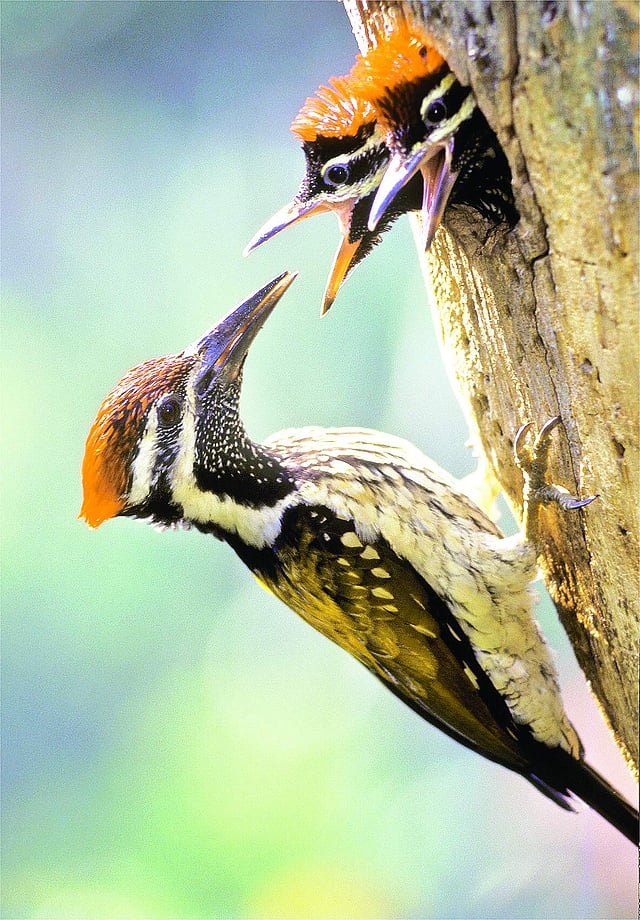 Story image