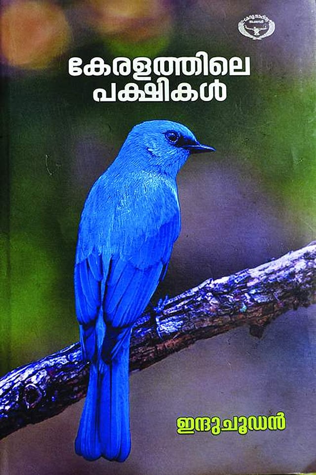 Story image