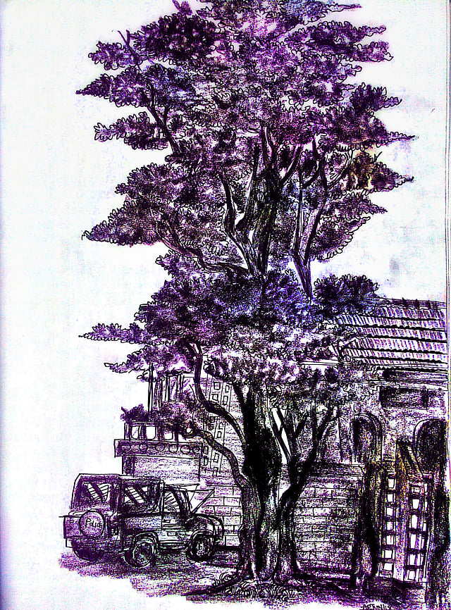 Story image