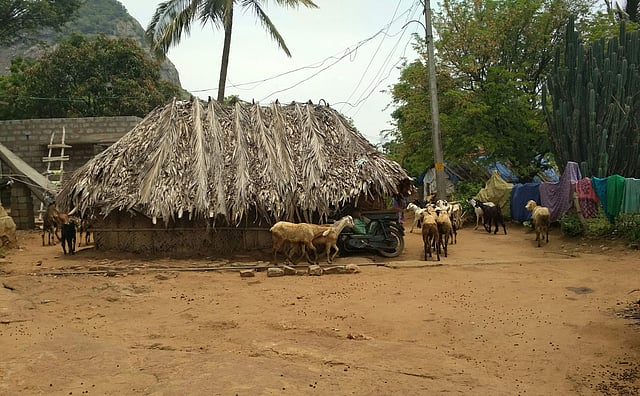 Story image