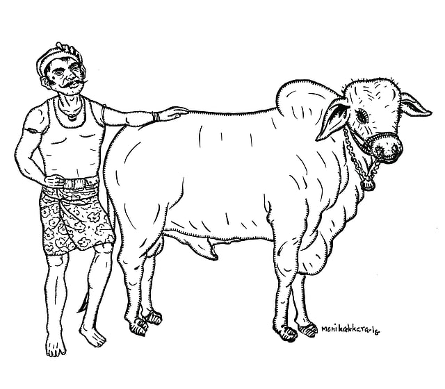 Story image