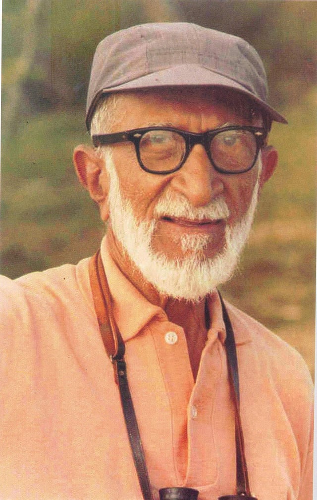 Story image