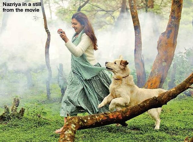 Story image