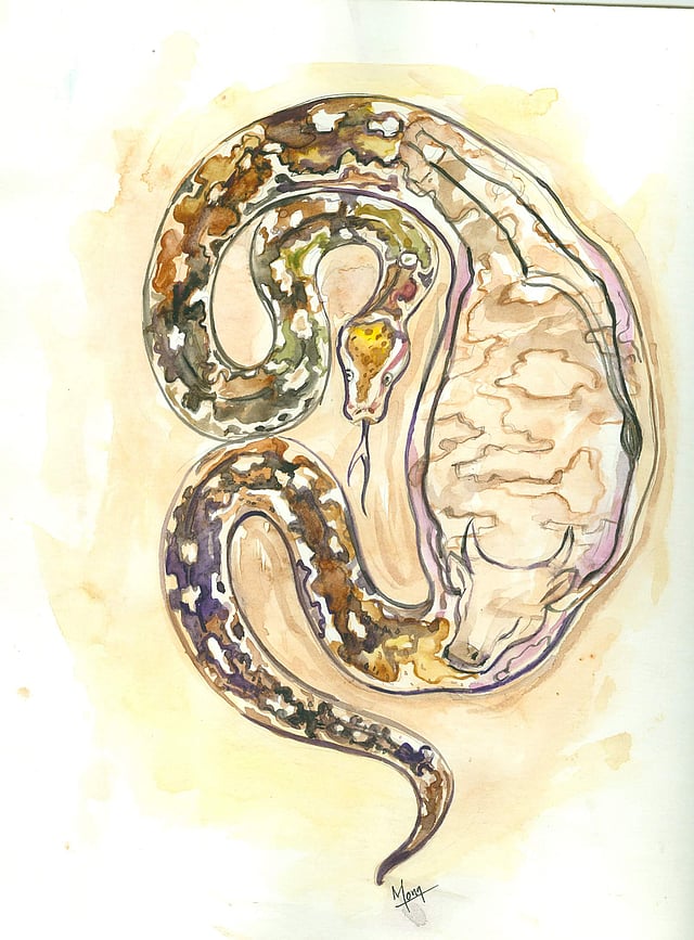 Story image