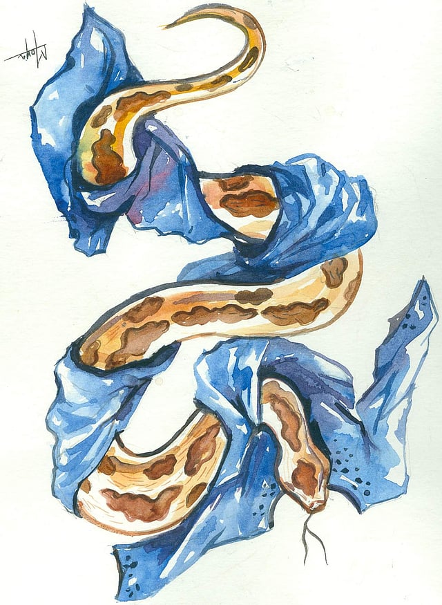 Story image