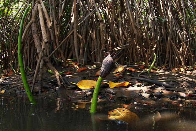 Story image