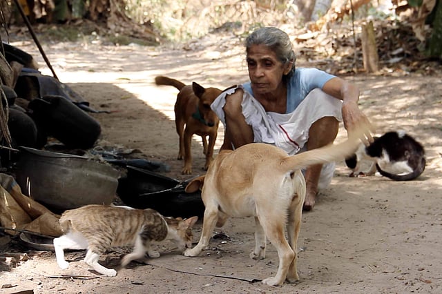 Story image