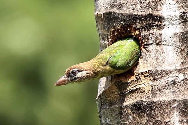 Story image