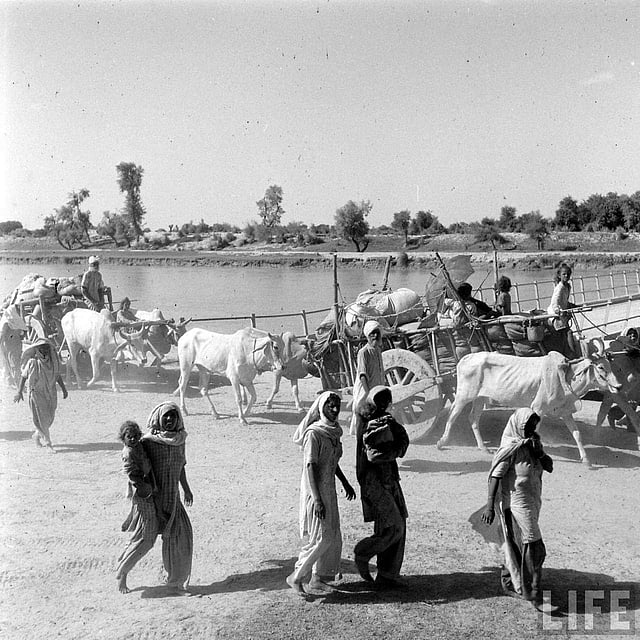 Story image