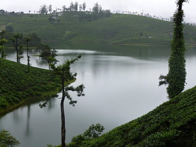 Story image