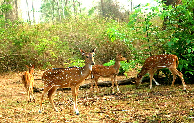 Story image