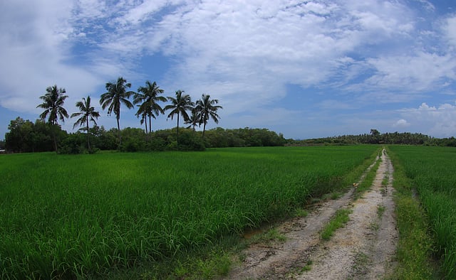 Story image