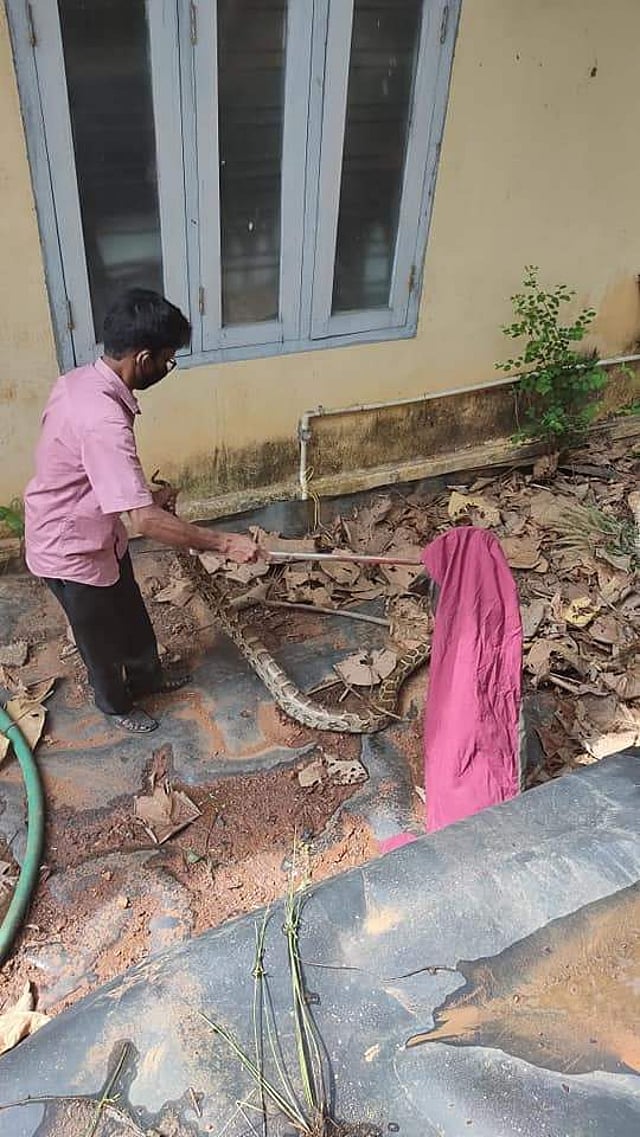 Story image