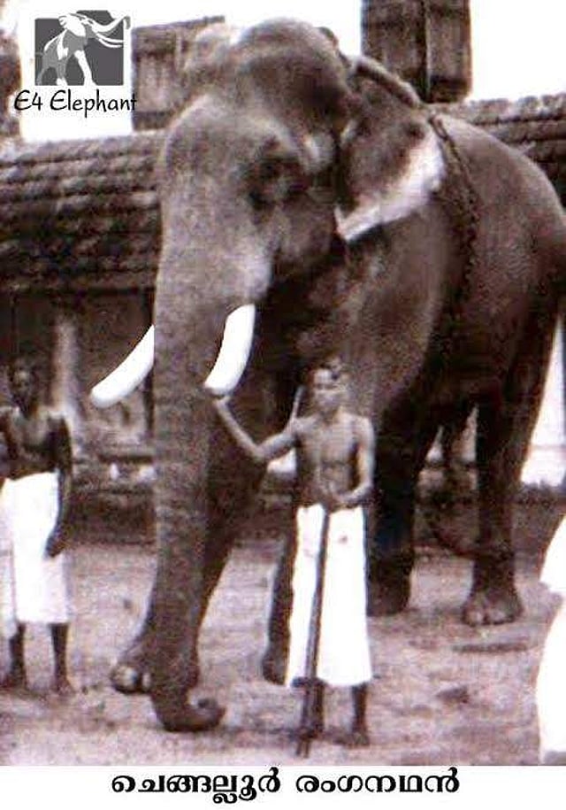 Story image