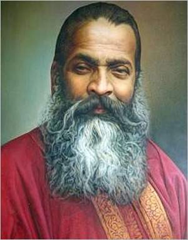 വി.ഡി പാലുസ്കര്