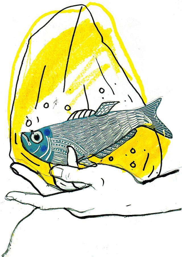 Story image