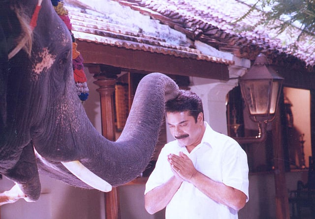 Story image