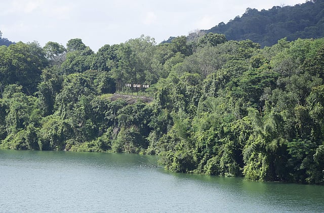 നെയ്യാറിലെ സഫാരി പാർക്ക്