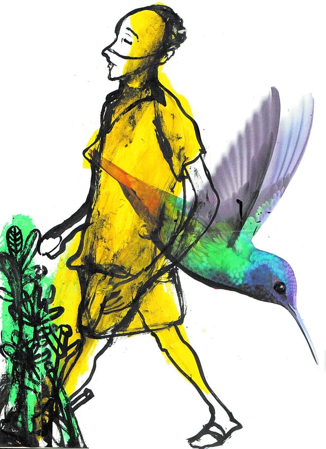 Story image